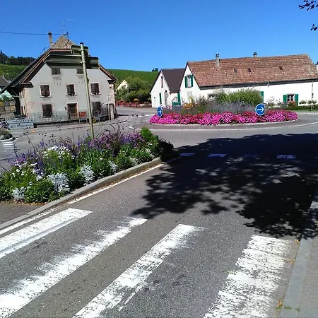 Gites & Camping On The Route Des Vins Bergheim Exterior photo