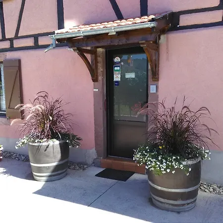 Gites & Camping On The Route Des Vins Bergheim Exterior photo