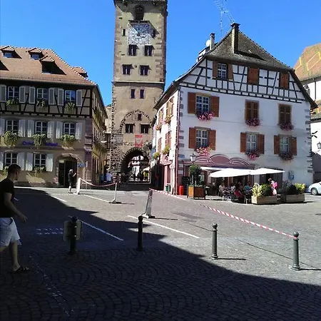 Gites & Camping On The Route Des Vins Bergheim Exterior photo