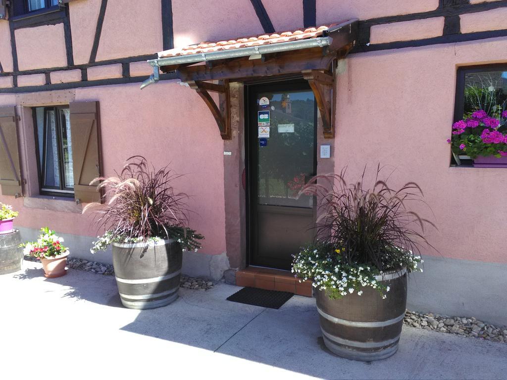 & On The Route Des Vins Holiday home *