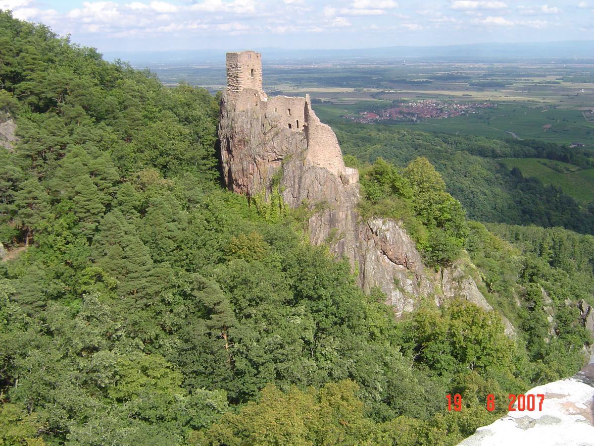 & On The Route Des Vins Bergheim