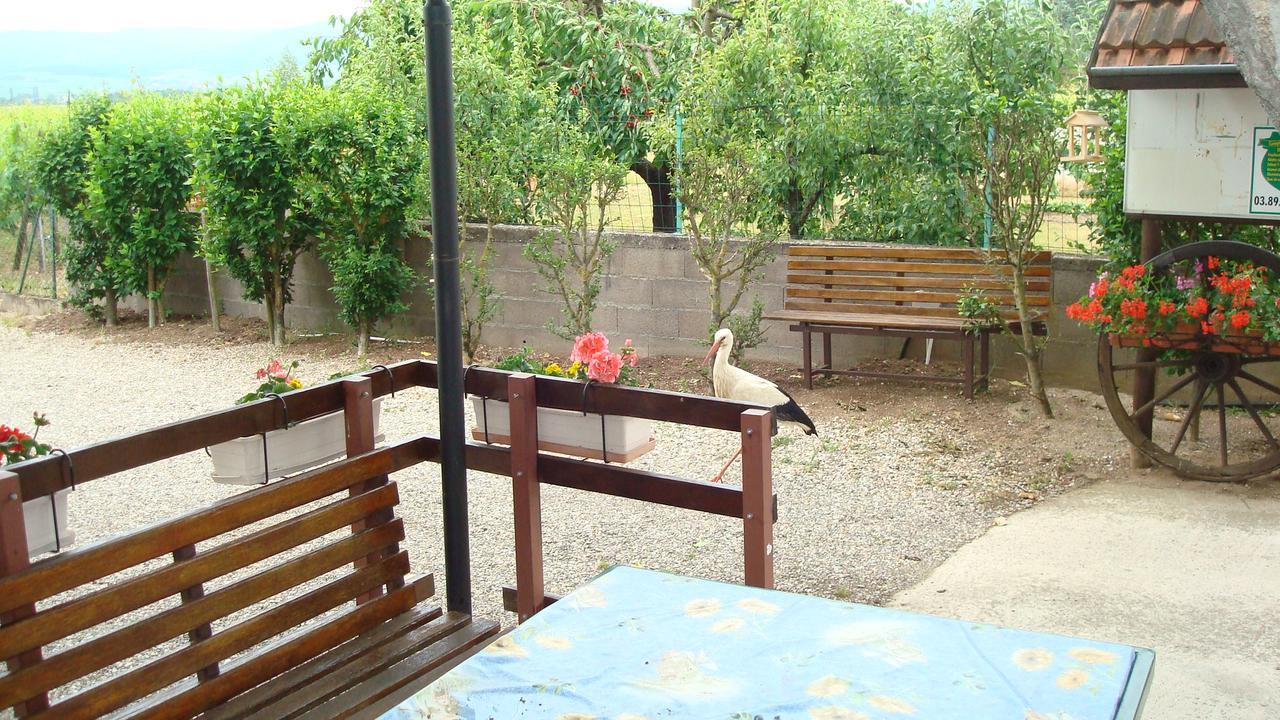 Holiday home & On The Route Des Vins