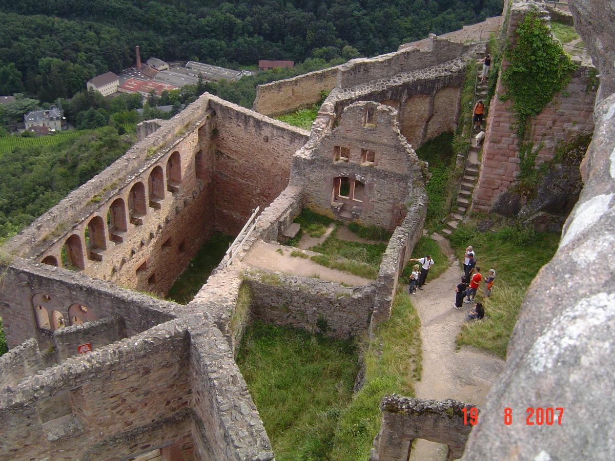 & On The Route Des Vins * Bergheim
