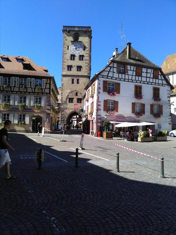 Holiday home & On The Route Des Vins Bergheim